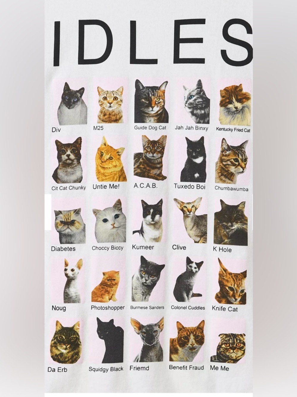 NWOT IDLES Band Graphic Cat Tshirt L - Picture 2 of 4